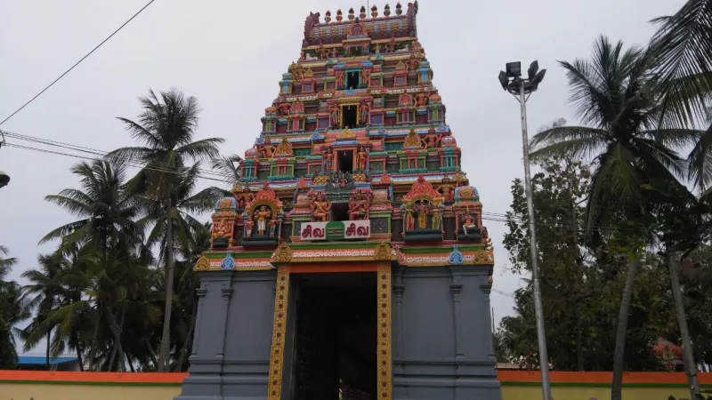 Front view of the multicoloured tower over a dark entrance passage, with palms and a lamp post.