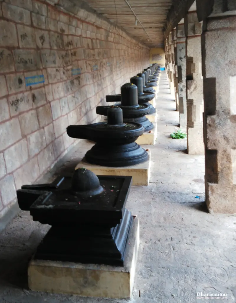 A line of black Shivalingams on stone bases running down a long corridor beside a brick-coloured wall