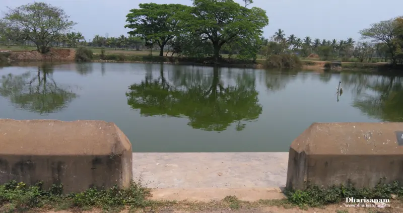 Still green water in a tank with low concrete blocks in front and trees reflected beyond