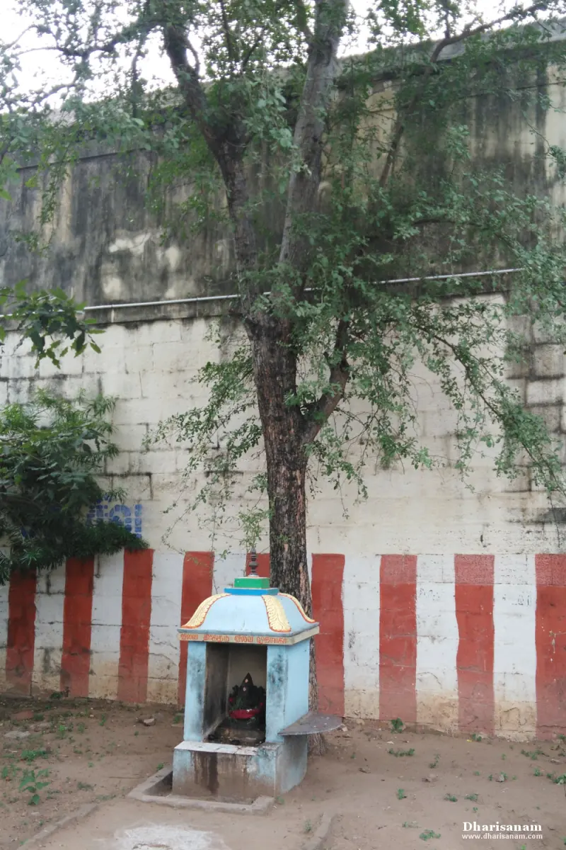 A small blue shrine with a dim idol inside, under a tree in front of a red and white striped wall