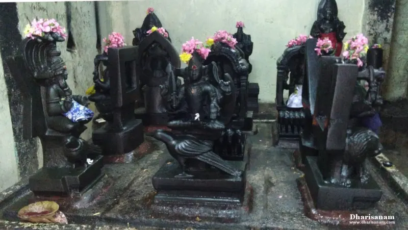 Dark stone idols of the Navagraham with flowers on their heads, each with its mount