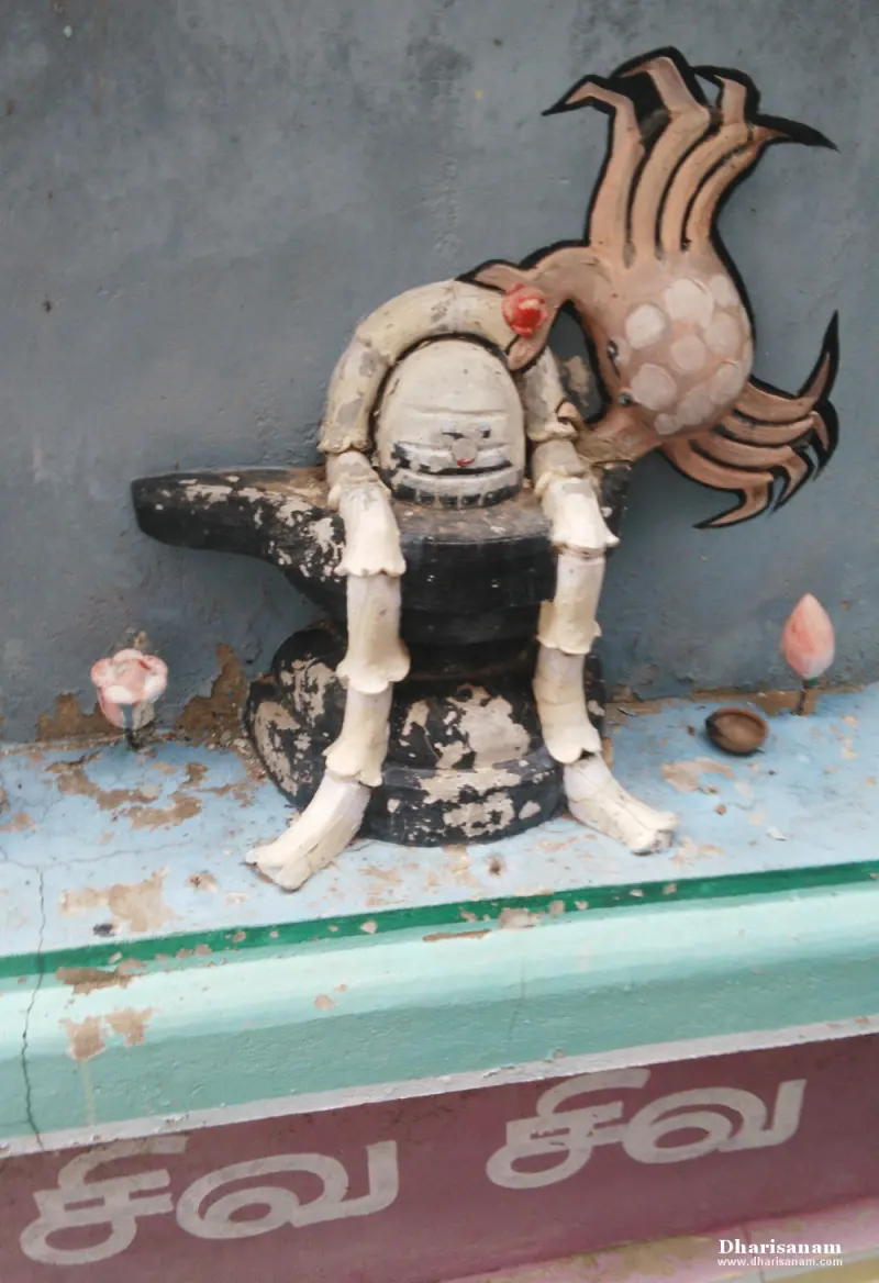 Close view of a painted crab with white legs wrapped around a black lingam on its base