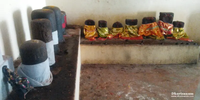Shivalingams in grey wraps along a platform at left and a row of small ones in coloured cloth at the back