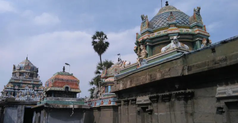 Row of small shrine towers with Nandi statues and a palm