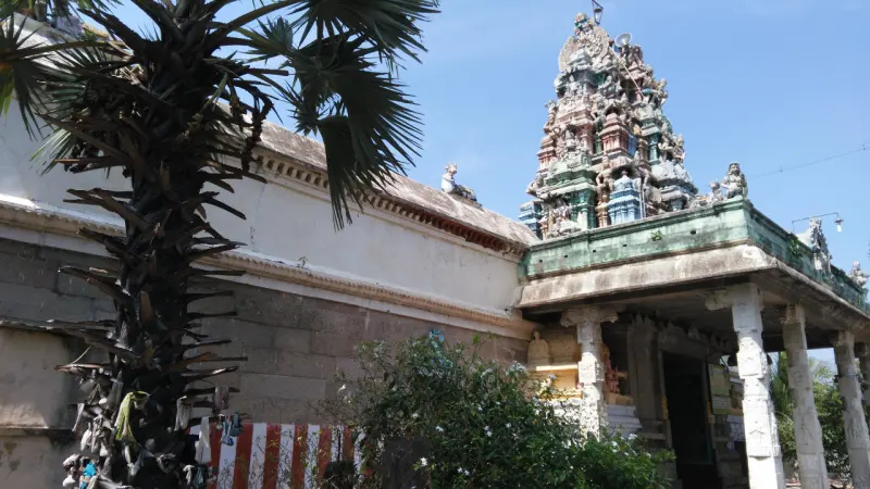 Tall palm tree by a stone wall with the sculpted temple tower beyond