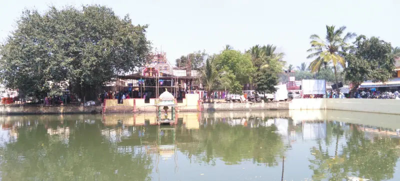 A green tank with a small mandapam, a large tree on the left and the temple under repair behind.