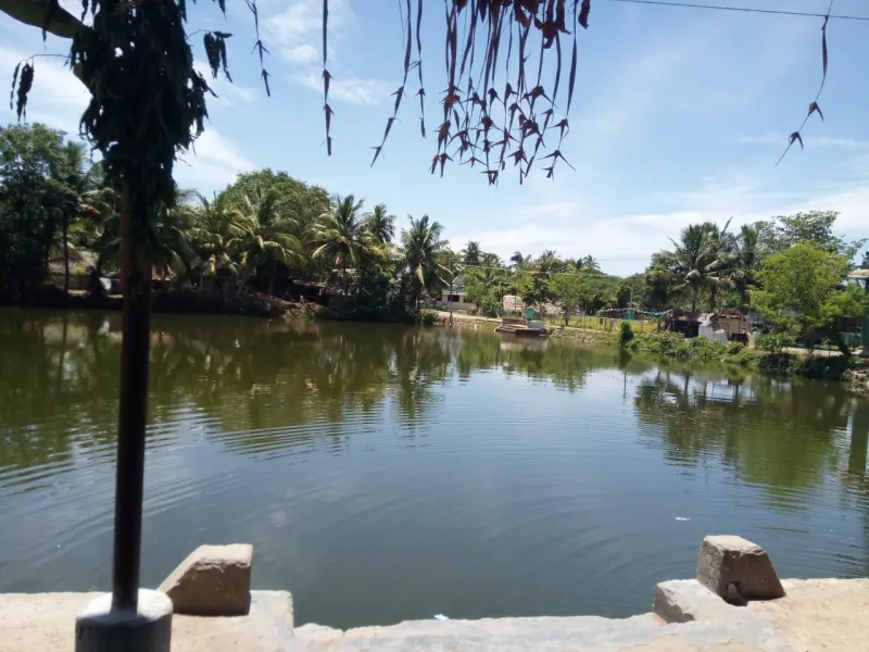 Wide tank of still green water with palm trees on the far bank and stone steps in front