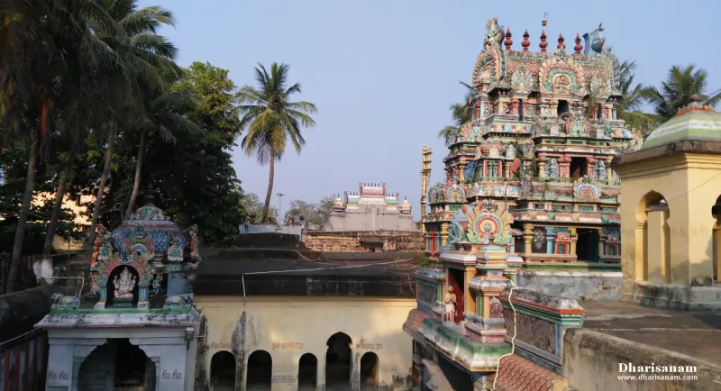 A painted tower rising behind corridor roofs and palms