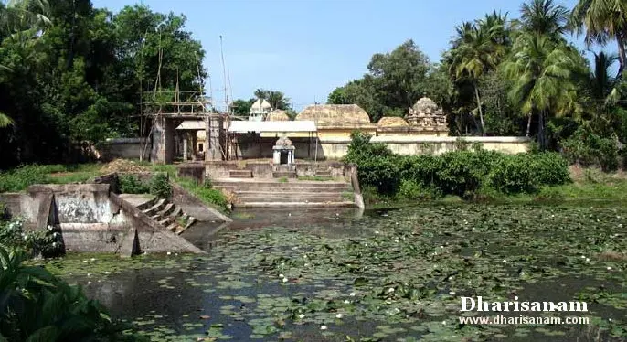 A view from the temple visit; the image file is not available to describe