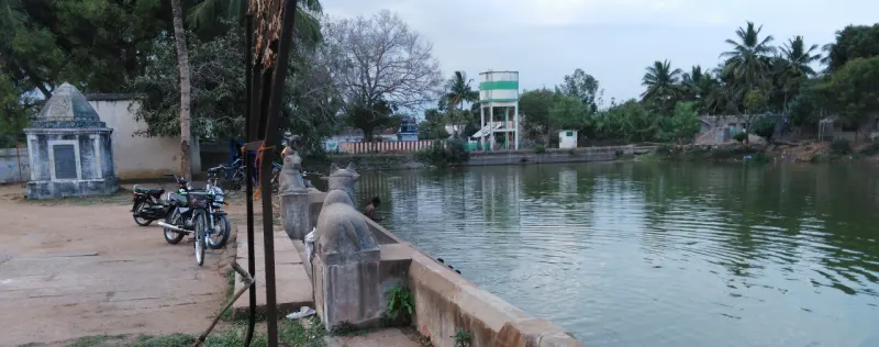 A wide tank of green water with a stone ghat, carved bull figures and a small mandapam on the bank
