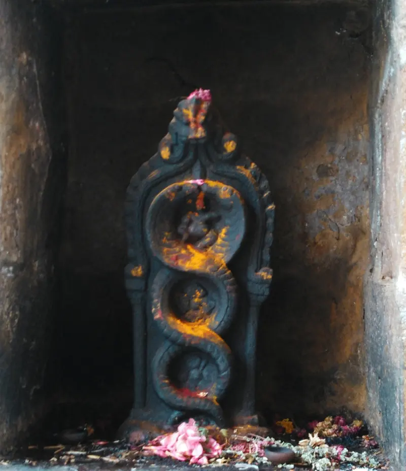 Dark carved slab of coiled snakes with yellow paste and petals