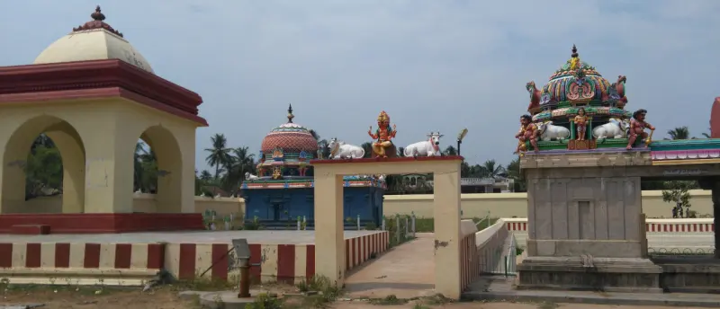A small doorway frame and the yellow pavilion, with painted shrines and white bulls in the background