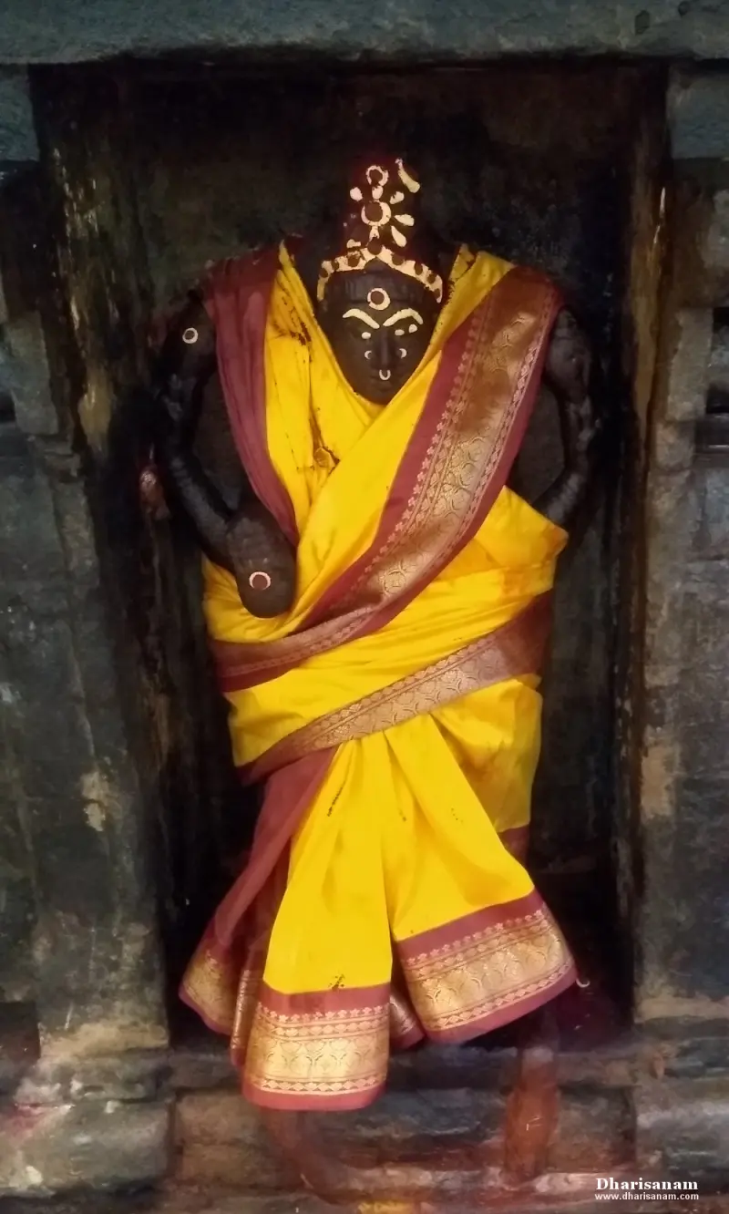 A dark stone goddess idol in a yellow saree with a maroon border, standing in a wall niche