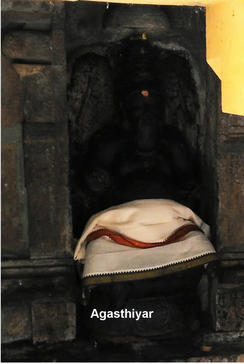 A dark stone idol seated in a niche, with a white and orange cloth over its lap and a label reading Agasthiyar.