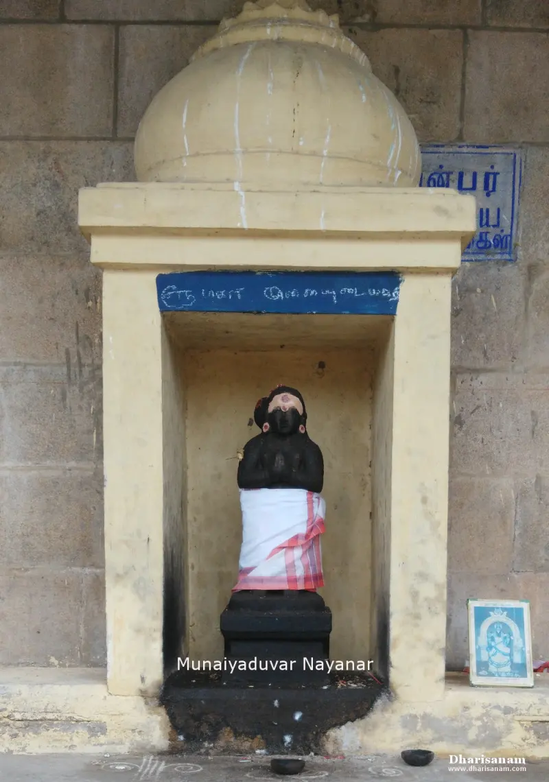 A small dark stone idol with folded hands in white cloth, in a yellow niche with a domed top