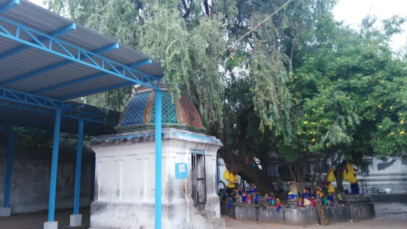A small shrine with a coloured dome beside a leafy tree, with idols placed on a platform at its foot.