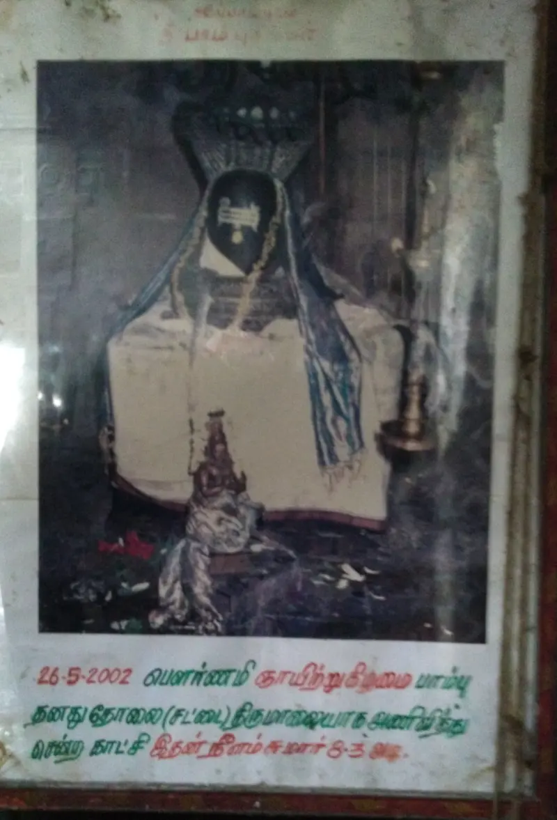 A framed photograph of the idol draped in a shed snake skin, with a Tamil caption in red and green below.