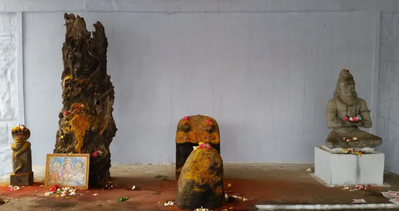 A third view within the temple, placed beside the legend of the Pathiri tree.