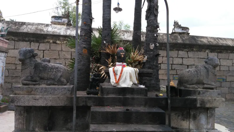 Two stone bulls flanking a small draped shrine before palm trunks