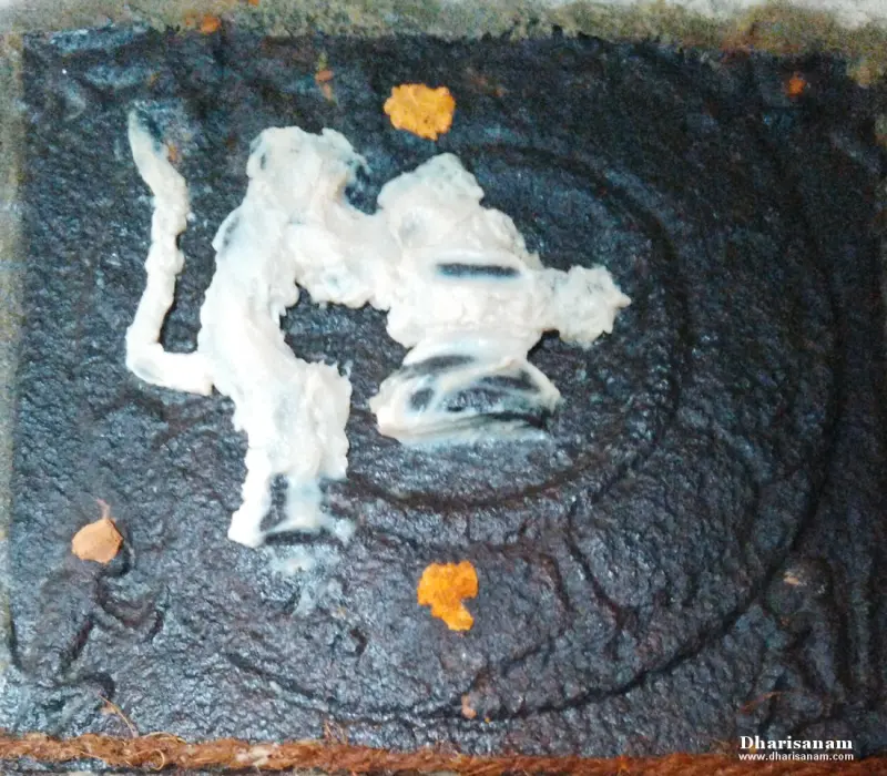 A monkey with a raised tail drawn in white paste on a black stone surface, with a few flower petals around