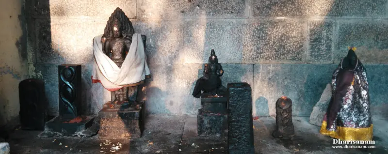 A dark idol in white cloth, smaller figures and carved serpent stones stand along a stone wall in morning light