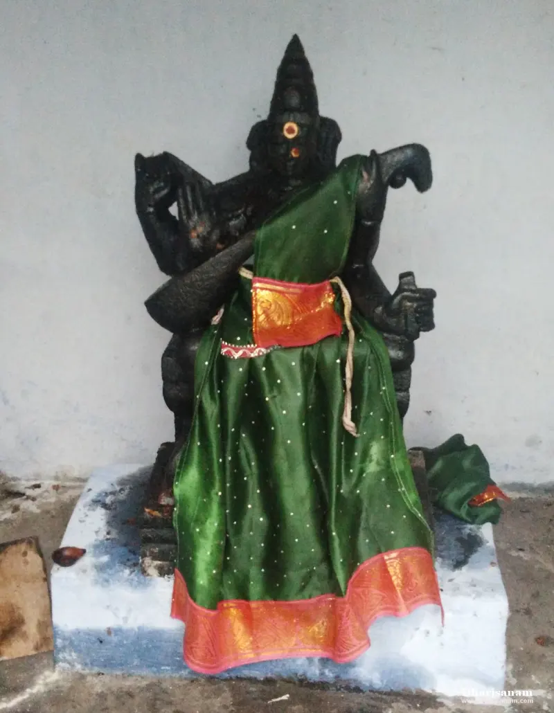 Black stone idol with several arms seated on a pedestal against a plain wall, draped in a green sari