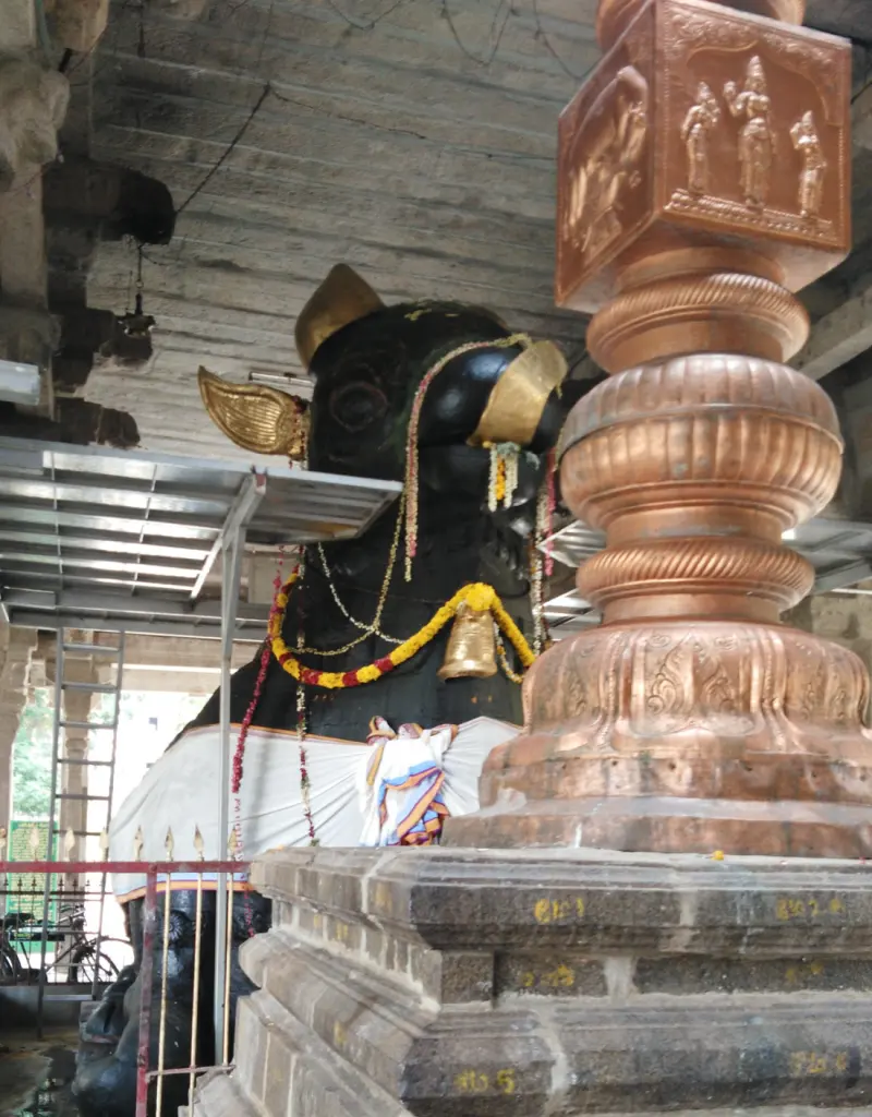 A large black Nandhi with a bell necklace stands beside a tall pillar covered in copper
