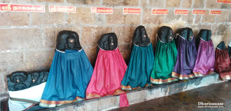 Row of draped goddess idols in bright silk cloths with name boards