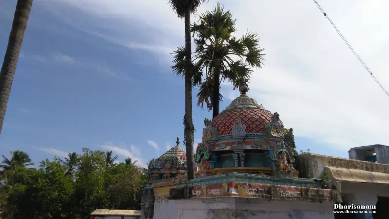 Painted domed shrine roof with tall palm trees rising behind it against a blue sky
