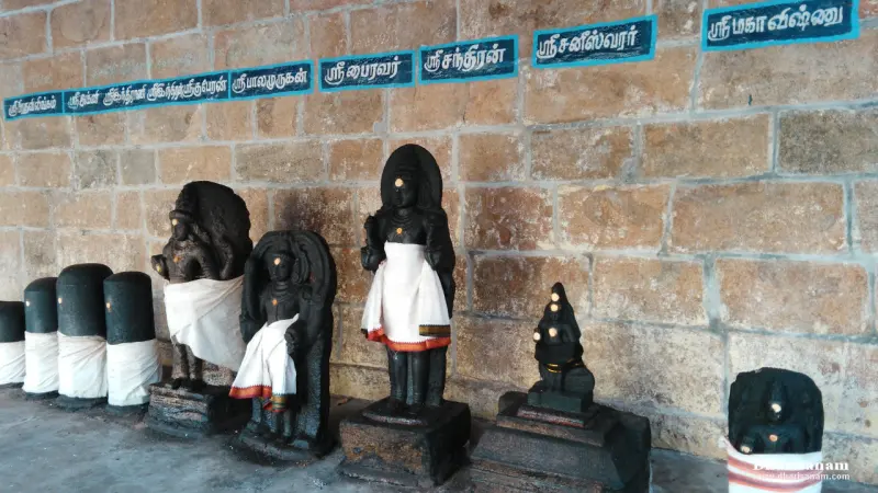 Row of black stone idols and lingams against a stone wall with Tamil name boards