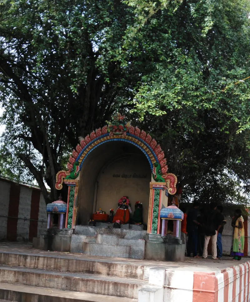A small arched shrine with painted decoration and a few figures inside, beneath a large leafy tree.