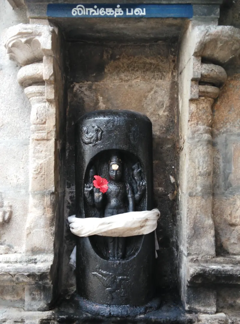 Shiva standing inside a tall black lingam with a red flower