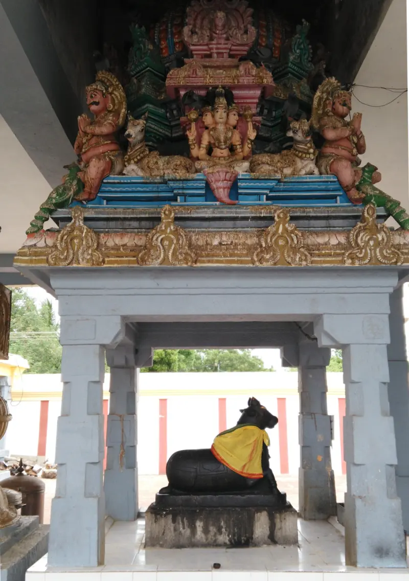 A black Nandi in yellow cloth beneath a small pillared canopy topped with painted figures.