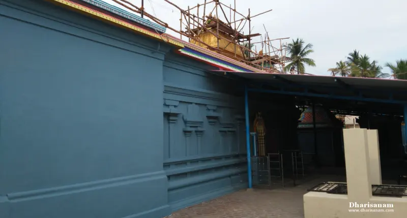 A long blue wall with bamboo scaffolding on the roof and palm trees beyond
