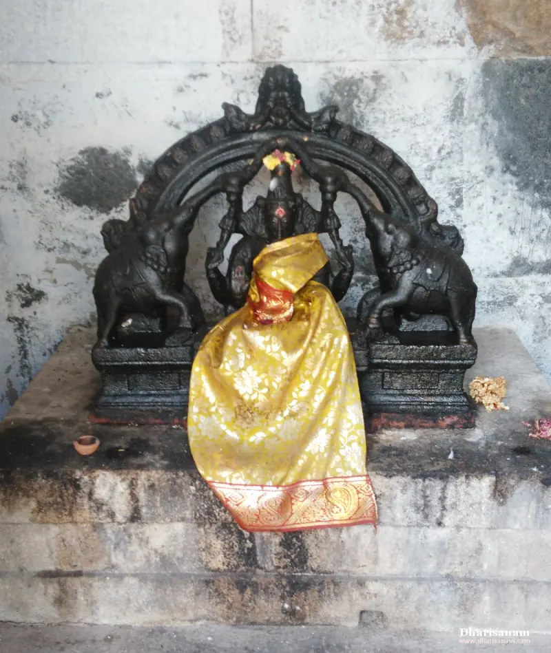 A seated goddess in yellow silk under a dark carved arch, with an elephant raised on each side