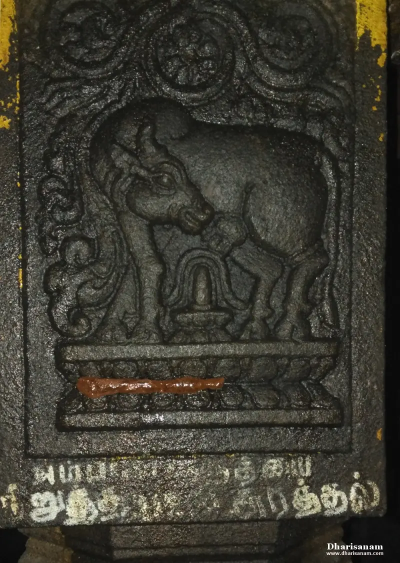 A stone relief of a cow bending over a lingam, set within an ornate arch.