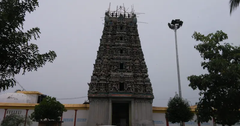Front view of the tall carved tower with a narrow entrance, a lamp post and trees on either side.