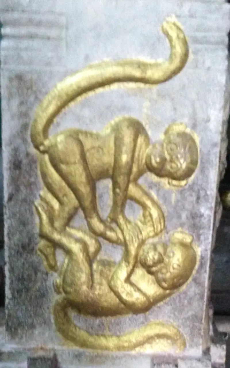 Golden relief of two monkeys locked in combat on a stone pillar
