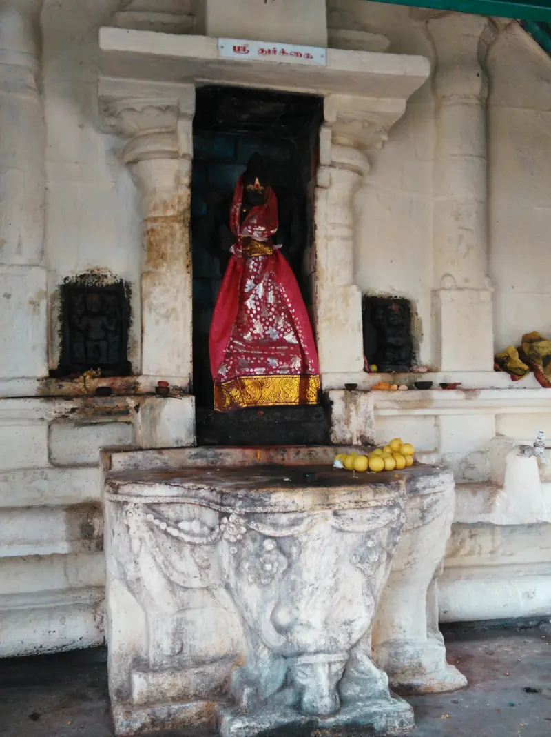 A dark idol in a red and gold sari stands in a stone niche, with lemons offered on the stone in front.