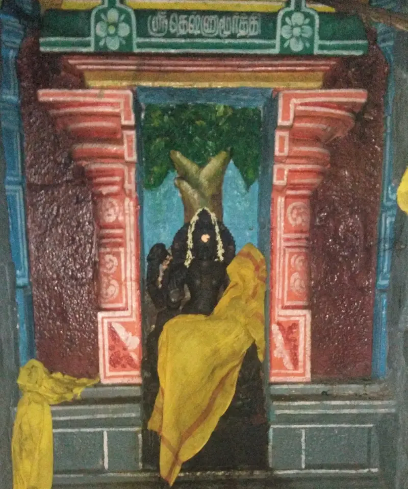 A dark idol under a tree inside a painted niche with a Tamil name board