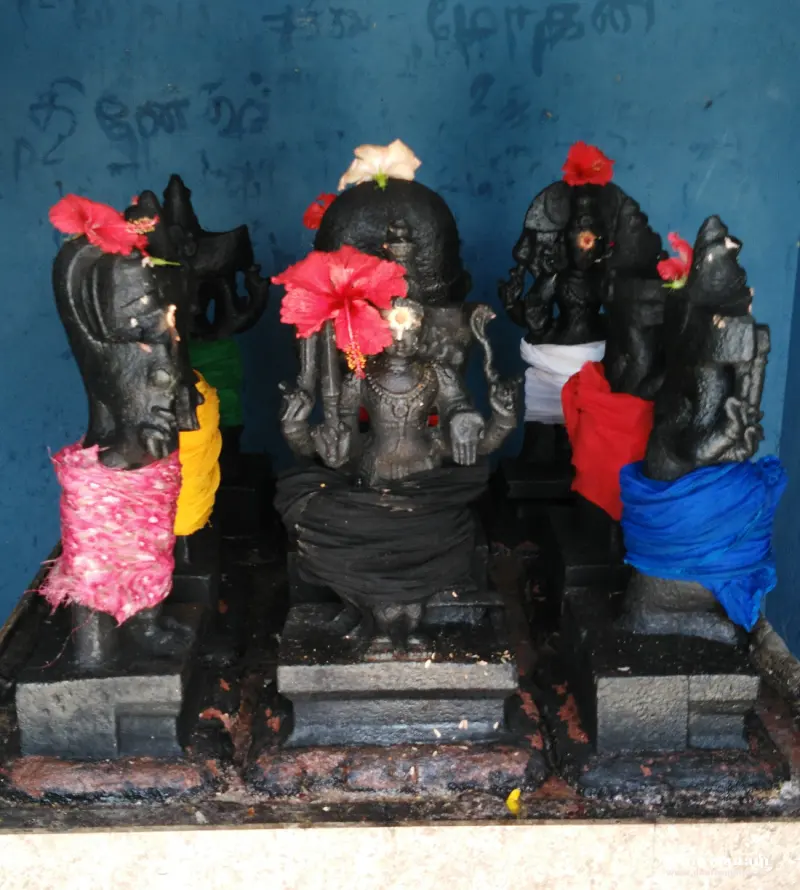 Several dark stone idols dressed in pink, yellow, red and blue cloth, decorated with red flowers.