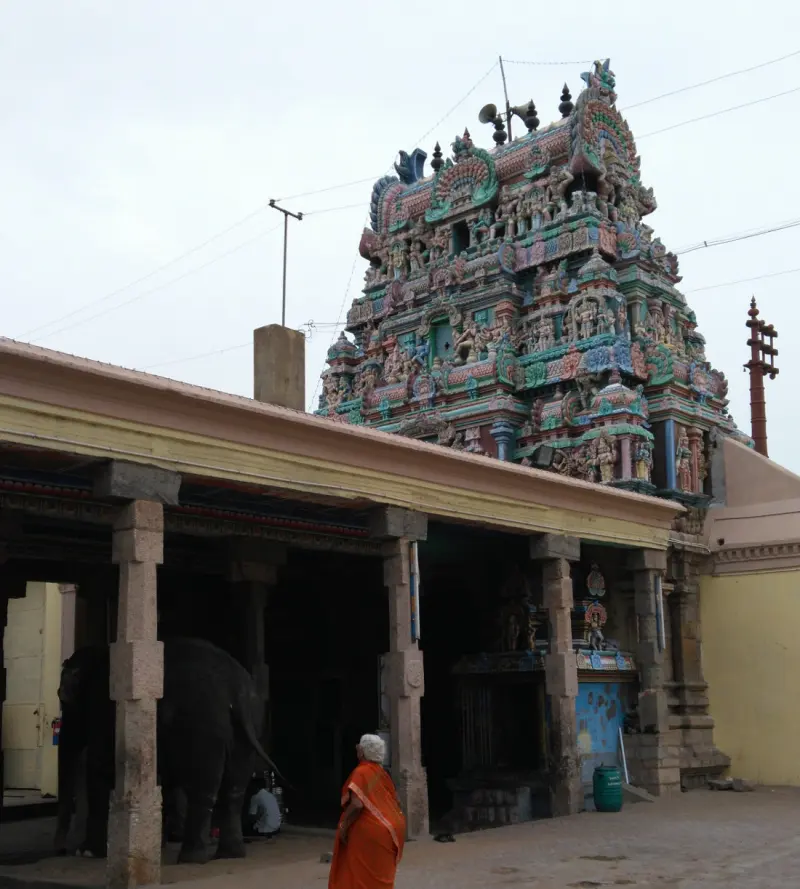 Temple elephant and a woman before the tower