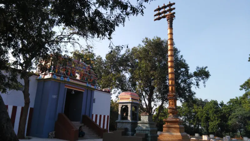 A tall flag post beside a blue entrance with steps and a small stone shrine, under trees.