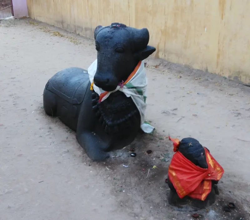 Large dark stone bull with a white cloth, and a small bull in red cloth beside it