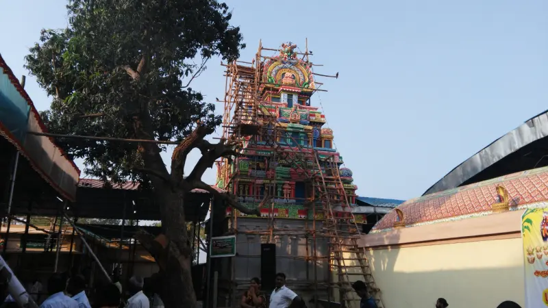 A colourful tower in scaffolding beside a large tree, with a roof and a yellow wall in the foreground.