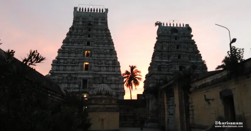 Two stone towers with lit windows against a pink sky, a palm tree and a low shrine between them