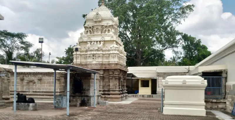A paved courtyard with a carved shrine tower, a small roofed Nandi shrine, a white stone block and a large tree.