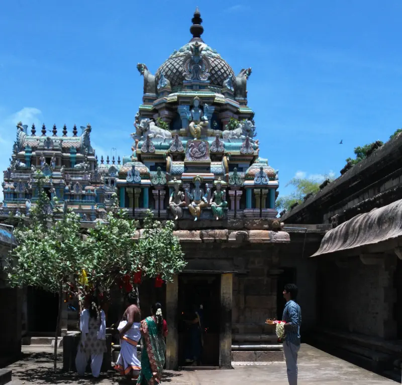 Visitors in a courtyard before a doorway beneath a colourful tower; a small tree grows at left.