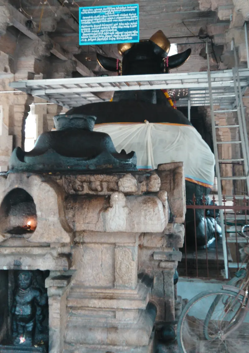 The large black Nandhi seen from the side, with scaffolding and a notice board above it