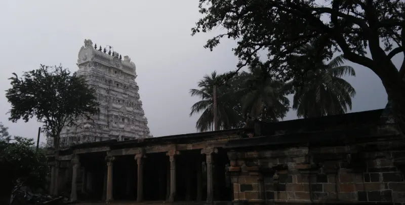 The white tiered tower behind a stone-pillared hall, with palms and a heavy grey sky.